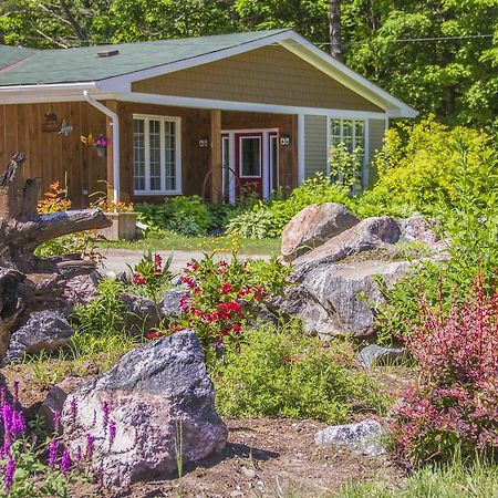Bear & Butterfly Bed And Breakfast Gravenhurst Dış mekan fotoğraf