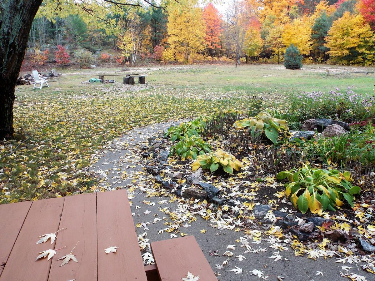 Bear & Butterfly Bed And Breakfast Gravenhurst Dış mekan fotoğraf
