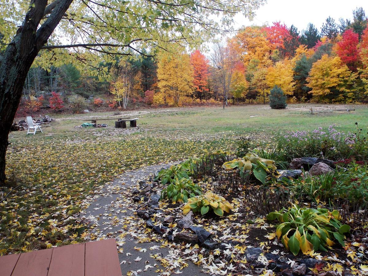 Bear & Butterfly Bed And Breakfast Gravenhurst Dış mekan fotoğraf