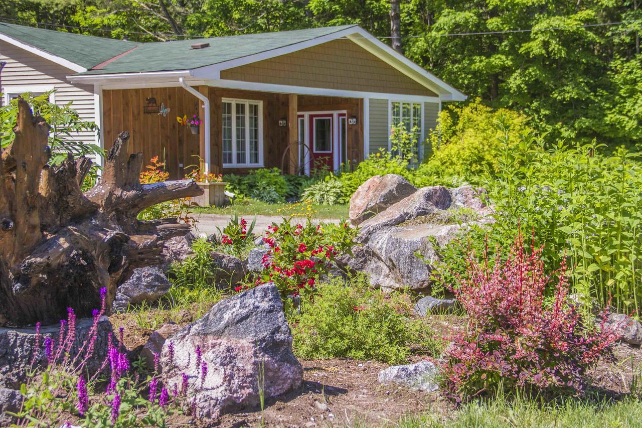 Bear & Butterfly Bed And Breakfast Gravenhurst Dış mekan fotoğraf